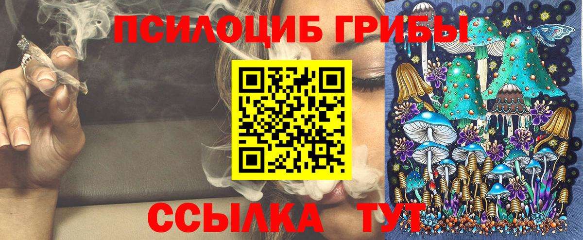 Галлюциногенные грибы Cubensis  Галлюциногенные грибы Magic Shrooms  Губкинский  Вход с VPN 